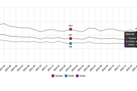 isgucu-istatistikleri-mart-2025.jpg