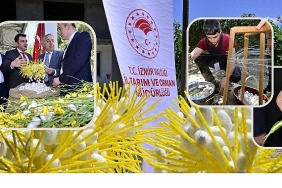 beydagda-kozalar-ipek-acti.jpg
