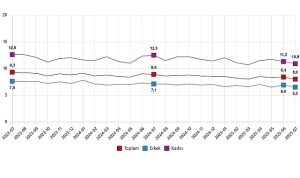 isgucu-istatistikleri-temmuz-2025.jpg