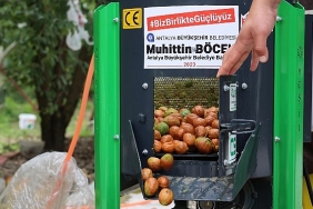 buyuksehirin-ceviz-soyma-makineleri-ureticilerin-hizmetinde.jpg