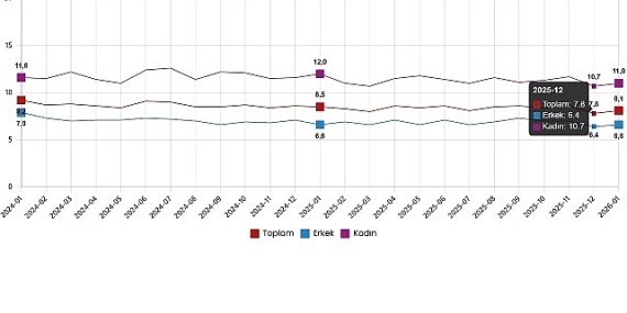 isgucu-istatistikleri-ocak-2026.jpg