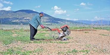 buyuksehir-ipek-bocegi-yetistiriciligini-yayginlastiriyor.jpg