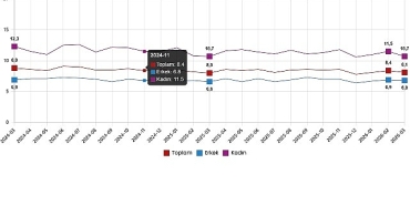 isgucu-istatistikleri-mart-2026.jpg